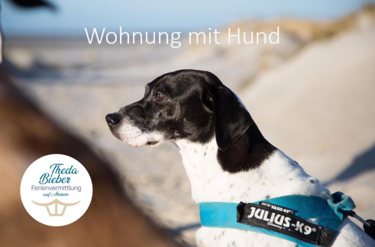Haus Watthus - Wohnung Paradies 네벨 외부 사진